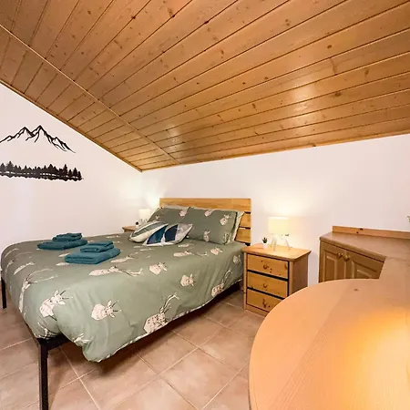 Begar Nest - Slope Front And Panoramic Sappada