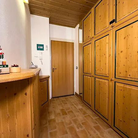 Begar Nest - Slope Front And Panoramic Sappada