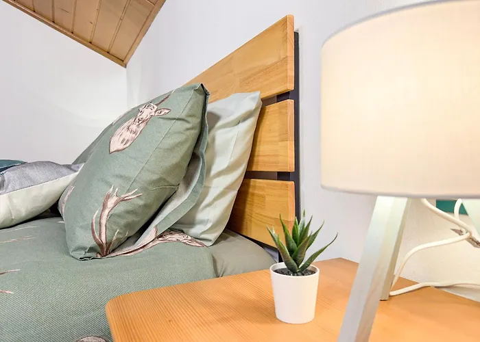 Begar Nest - Slope Front And Panoramic