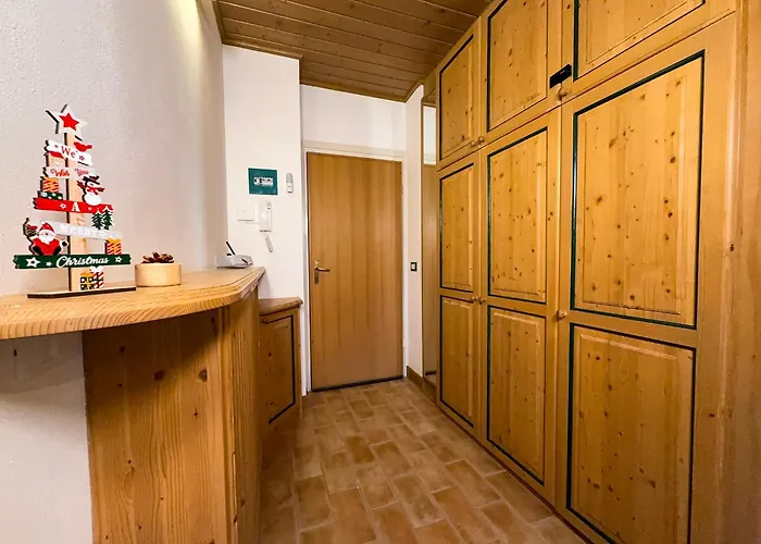 Begar Nest - Slope Front And Panoramic Sappada